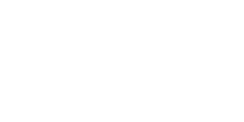 Strategic Software Developer