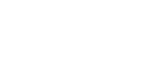 Strategic Software Developer